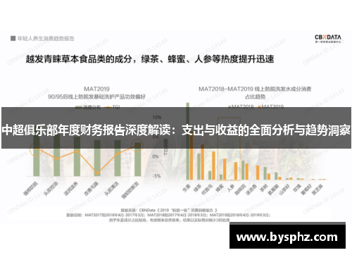 中超俱乐部年度财务报告深度解读：支出与收益的全面分析与趋势洞察